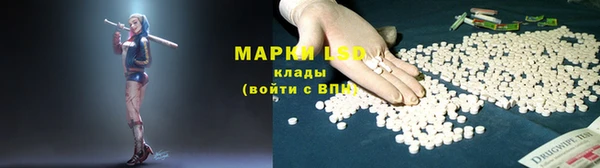 spice Алзамай