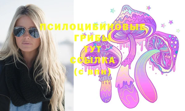 spice Алзамай