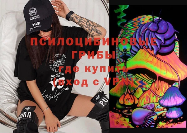 герыч Алексин