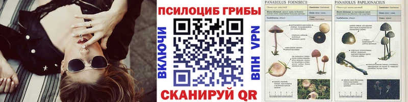 магазин    Аша  Галлюциногенные грибы ЛСД 