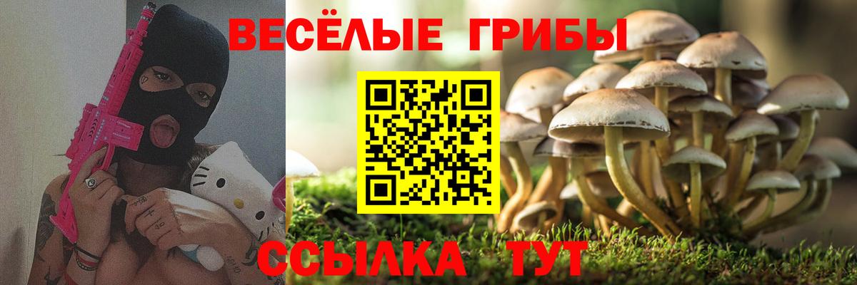 Галлюциногенные грибы ЛСД  Вход с VPN  Аша 